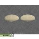 griseofulvin-tablets-300x300-1